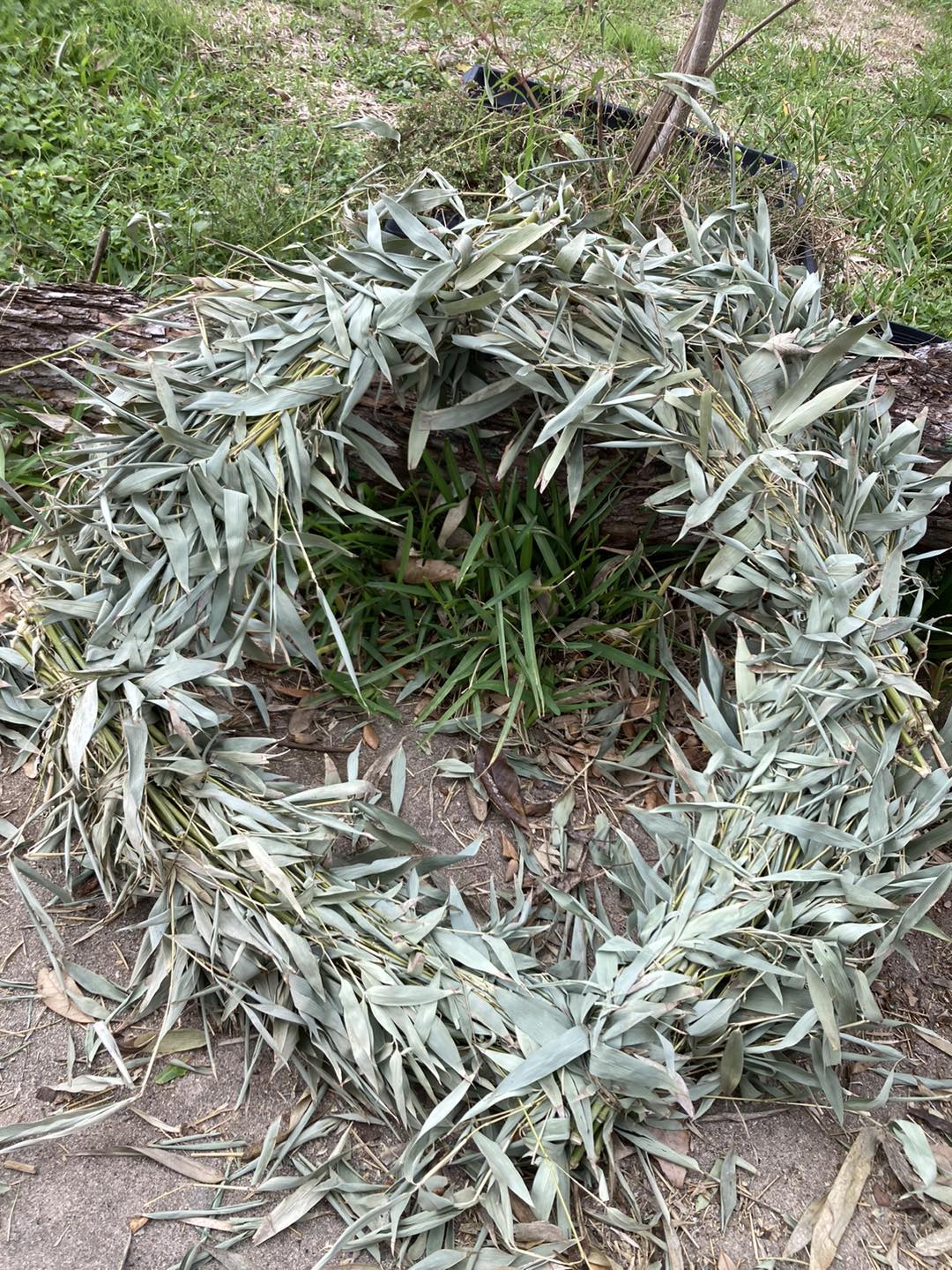 Natural Bamboo Branch Wreaths — Handmade by Austin Bamboo Inc.